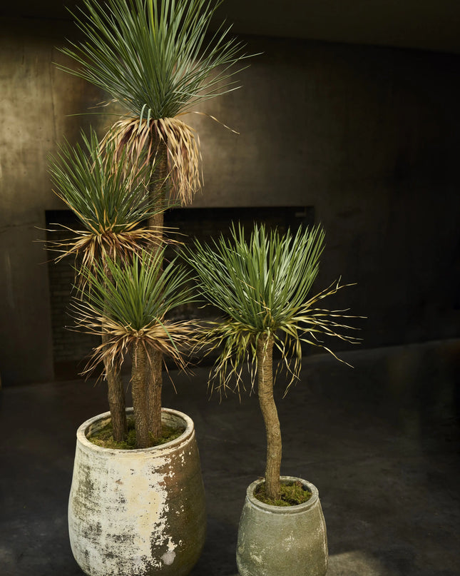 SILK-KA | YUCCA GROEN 180 CM