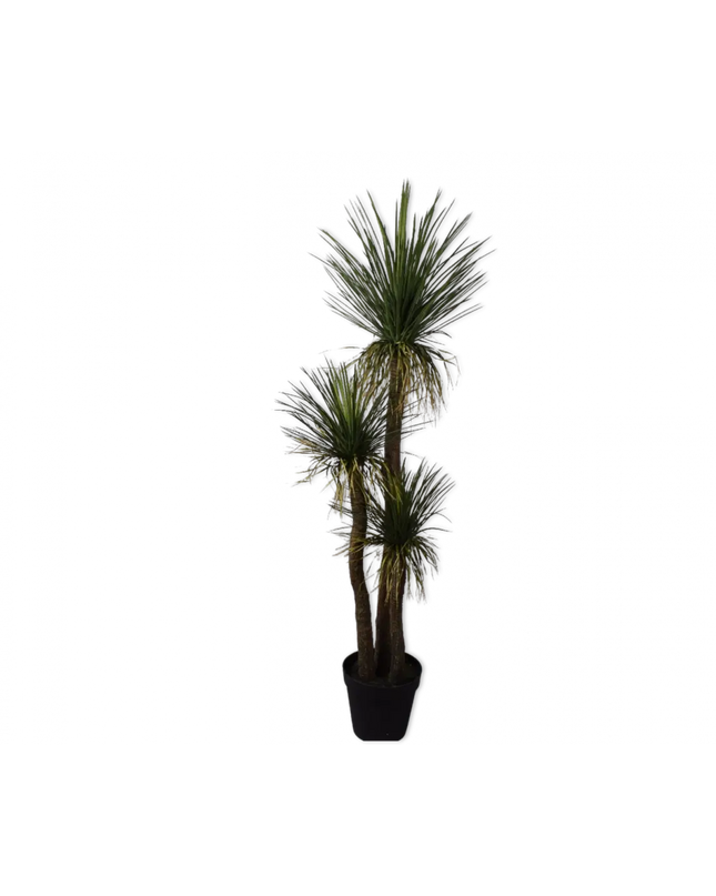 SILK-KA | YUCCA GROEN 180 CM