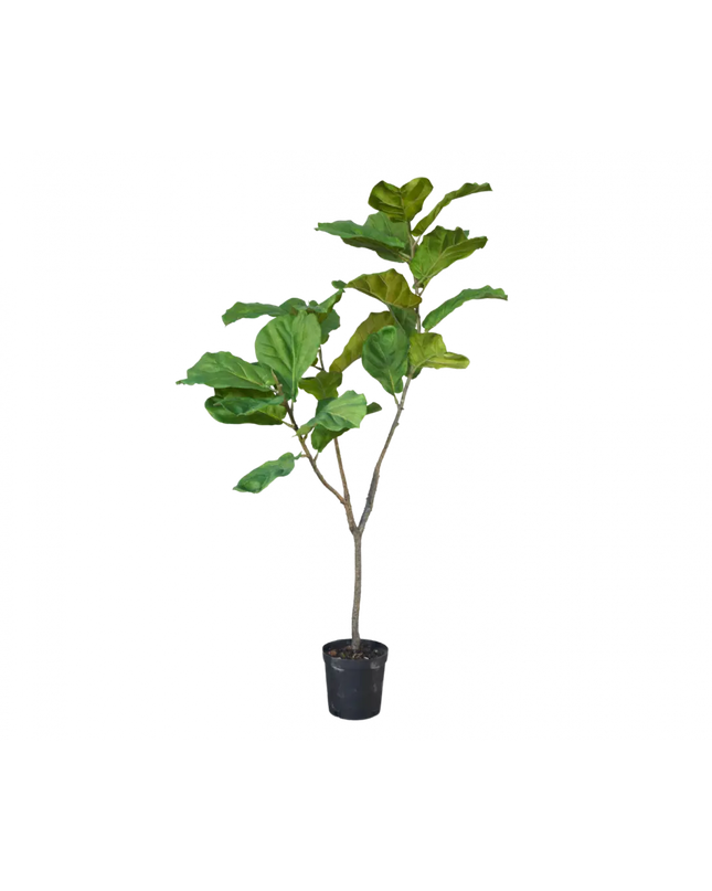 SILK-KA | FICUS GROEN 151 cm