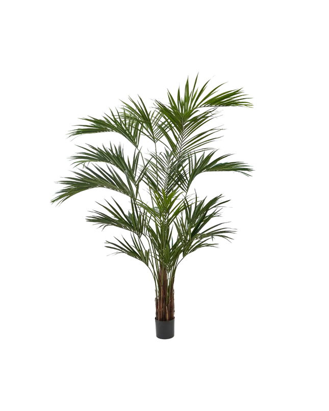 SILK-KA | PALM GROEN 250 CM