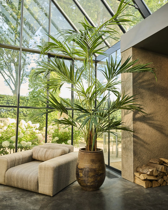 SILK-KA | PALM GROEN 250 CM