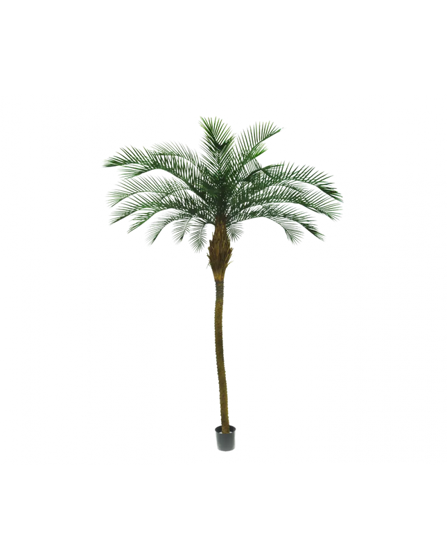 SILK-KA | PALM GROEN 213 CM