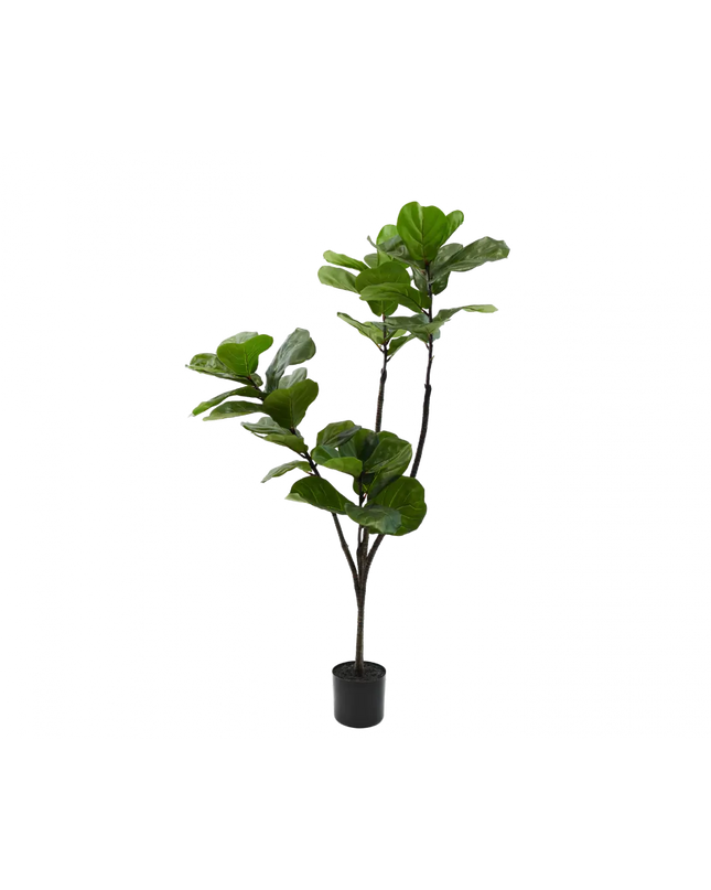 SILK-KA | FICUS GROEN 150 CM