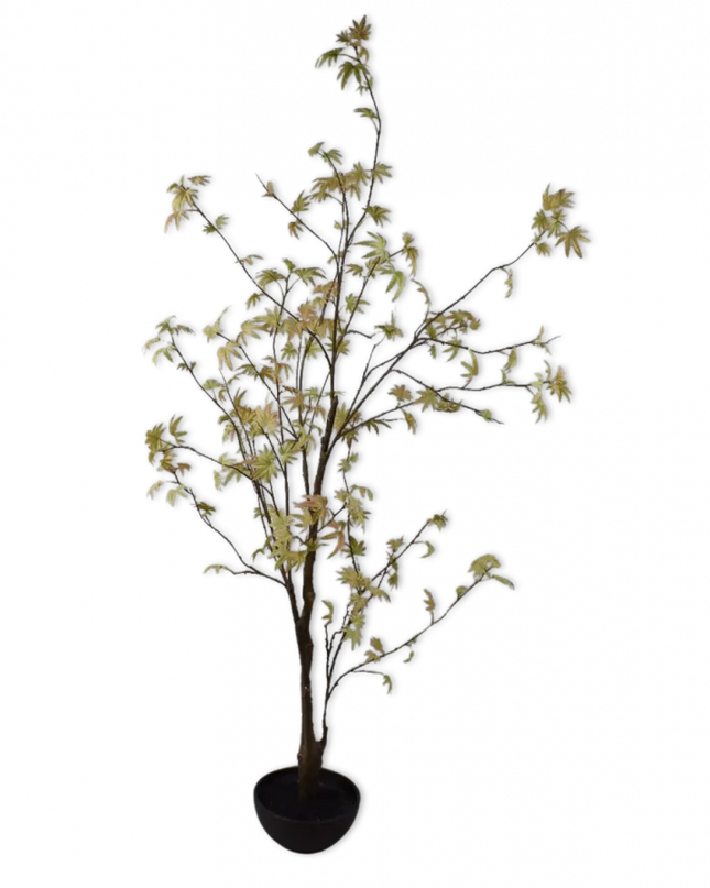 SILK-KA | PLANT GROEN/GEEL 170 CM