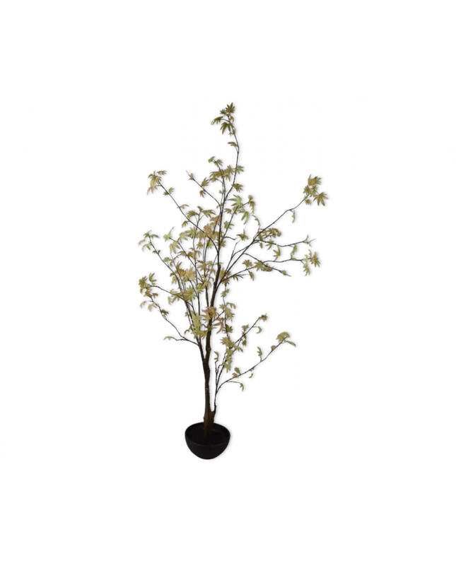 SILK-KA | PLANT GROEN/GEEL 170 CM