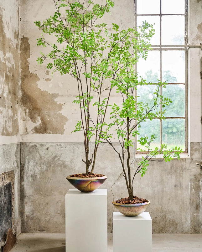 SILK-KA | PLANT GROEN 250 CM