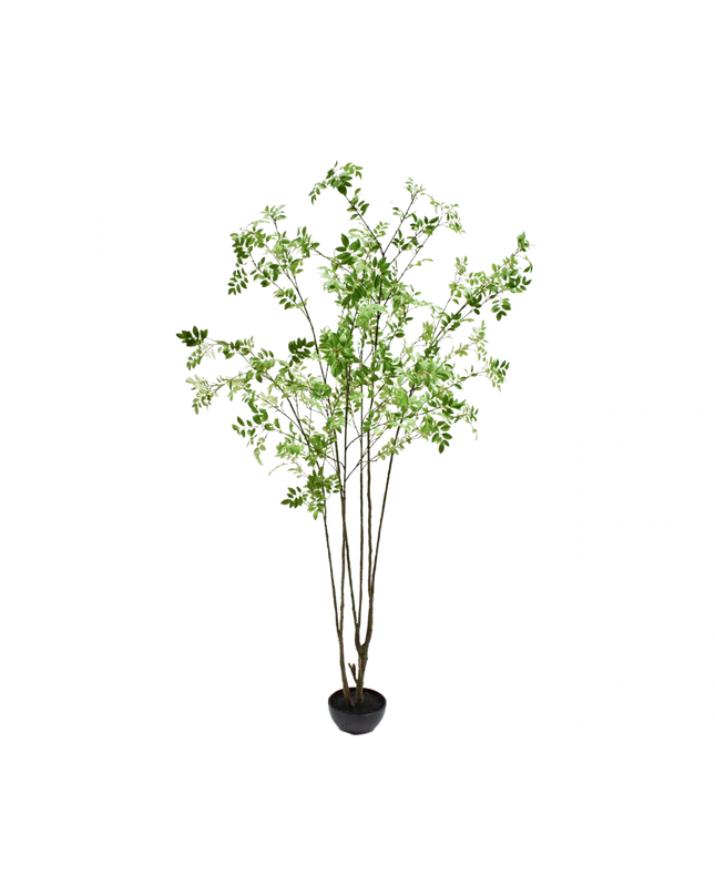 SILK-KA | PLANT GROEN 250 CM