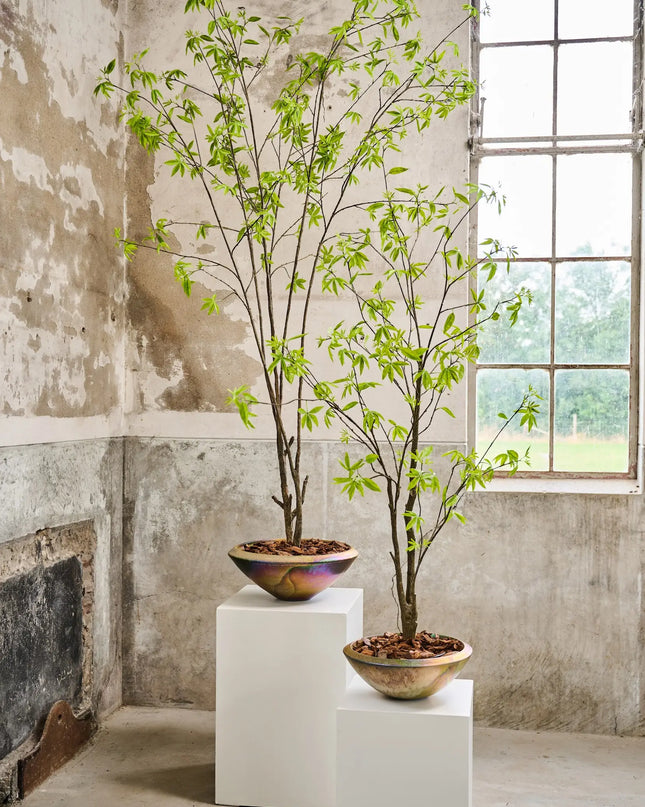 SILK-KA | PLANT GROEN 260 CM