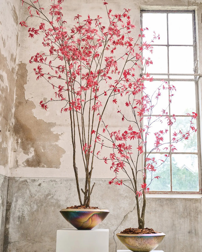 SILK-KA | PLANT ROOD 255 CM