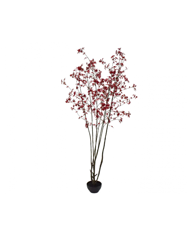 SILK-KA | PLANT ROOD 255 CM