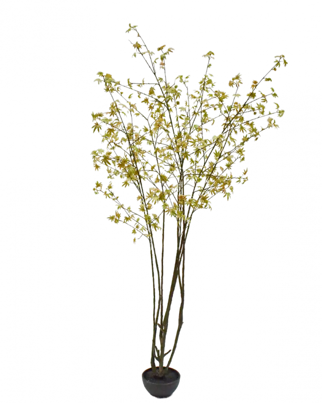 SILK-KA | PLANT GROEN/GEEL 255 CM