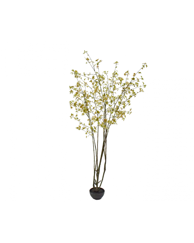 SILK-KA | PLANT GROEN/GEEL 255 CM