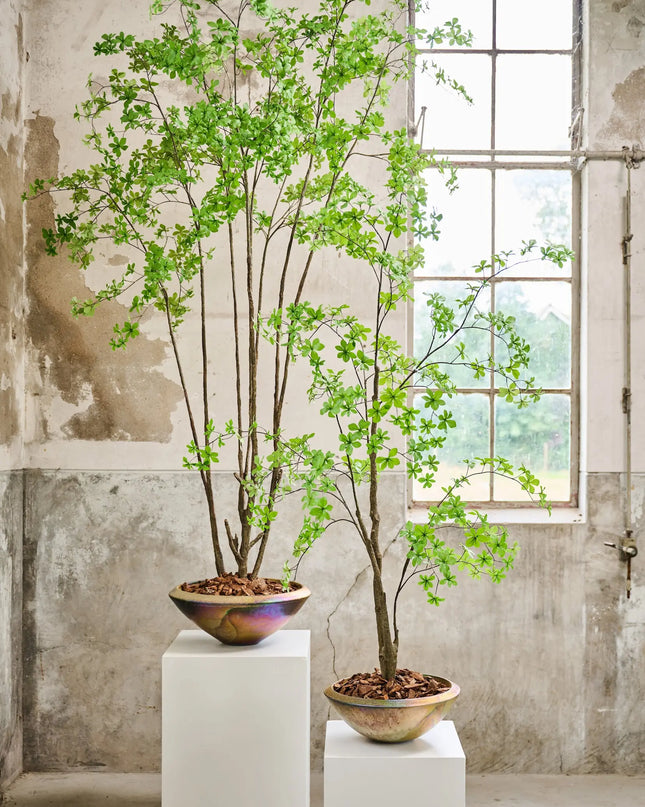 SILK-KA | PLANT GROEN 250 CM