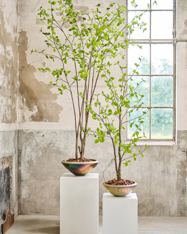 SILK-KA | PLANT GROEN 260 CM