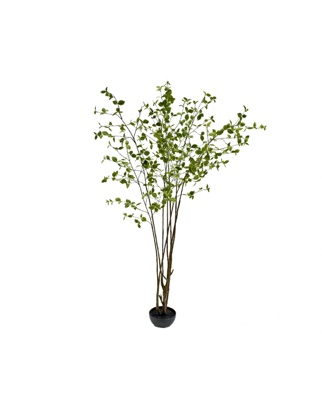 SILK-KA | PLANT GROEN FR 260 CM