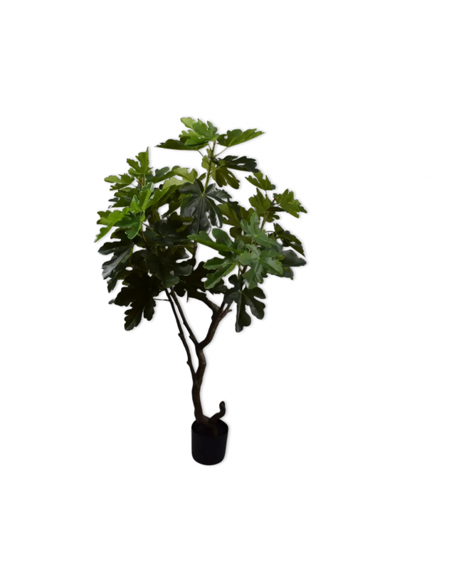 SILK-KA | VIJG GROEN 152 CM