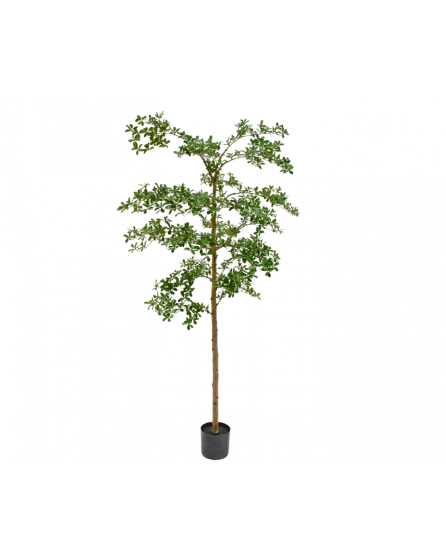 SILK-KA | PLANT GROEN 213 CM