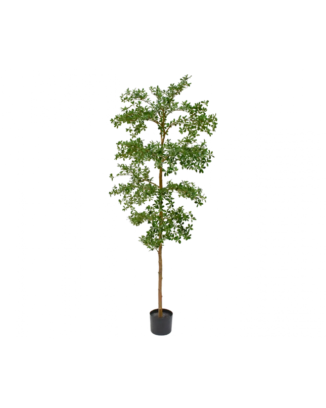 SILK-KA | PLANT GROEN 244 CM