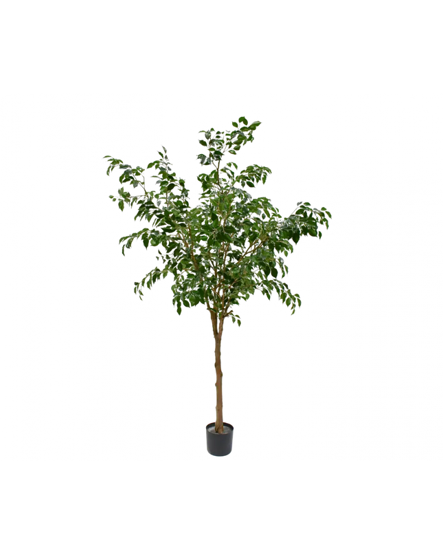 SILK-KA | FICUS GROEN 228 CM