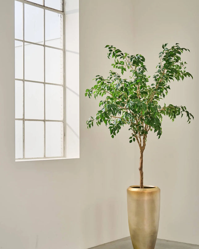 SILK-KA | FICUS GROEN 228 CM