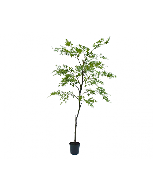 SILK-KA | PLANT ESDOORN GROEN 249 CM