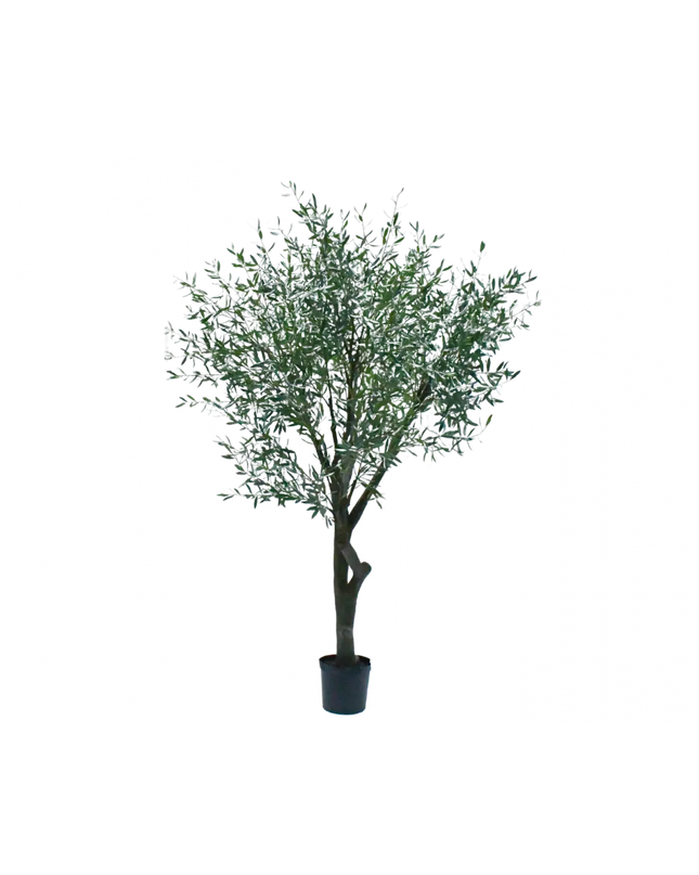 SILK-KA | OLIJF BOOM GROEN 305 CM