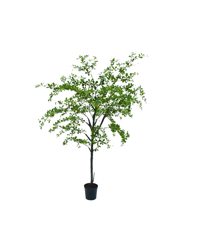 SILK-KA | BUCIDA GROEN 228 CM