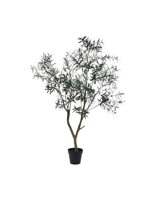 SILK-KA | OLIJF BOOM GROEN 240 CM