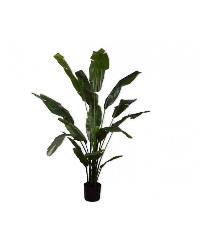 SILK-KA | STRELITZIA GROEN 180 CM