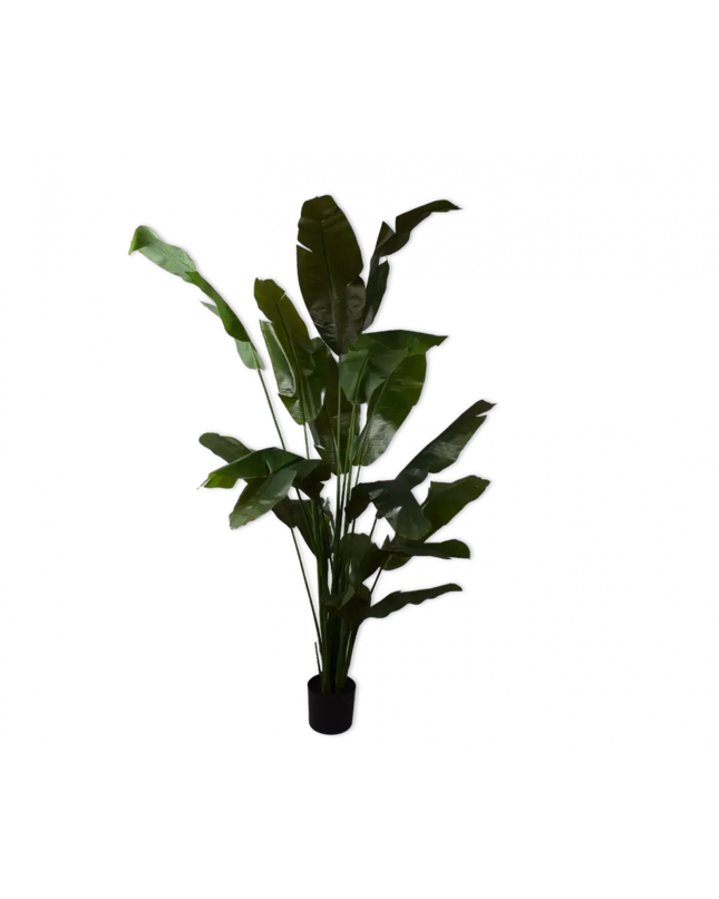 SILK-KA | STRELITZIA GROEN 200 CM