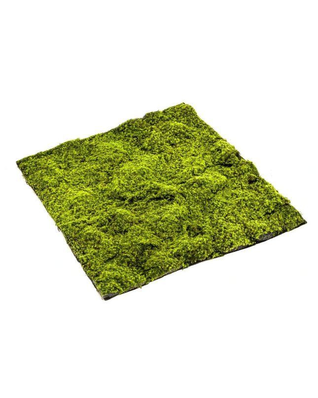 SPAGNUM MOSMAT 100 X 100 CM