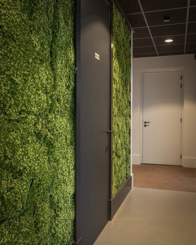 SPAGNUM MOSMAT 100 X 100 CM