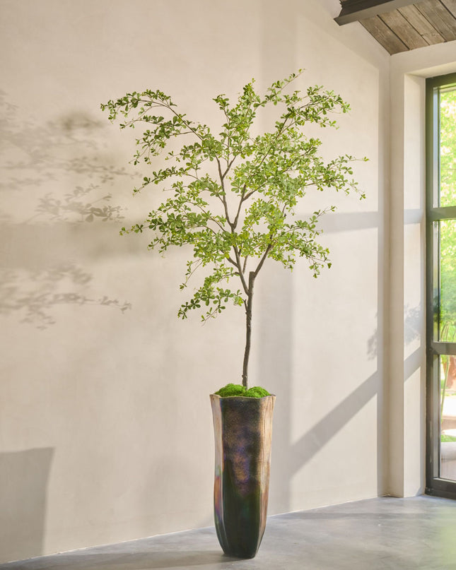 SILK-KA | BUCIDA I/POT GROEN 300 CM