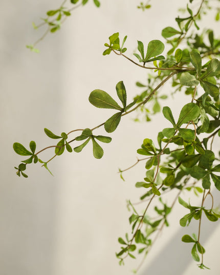 SILK-KA | BUCIDA I/POT GROEN 300 CM
