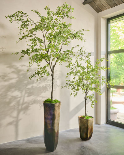 SILK-KA | BUCIDA I/POT GROEN 300 CM