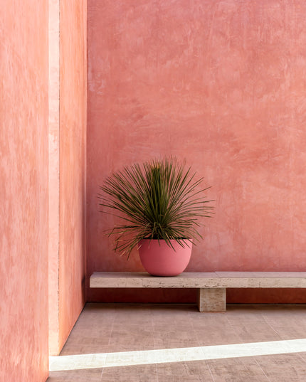 DOMANI AXEL | PINK
