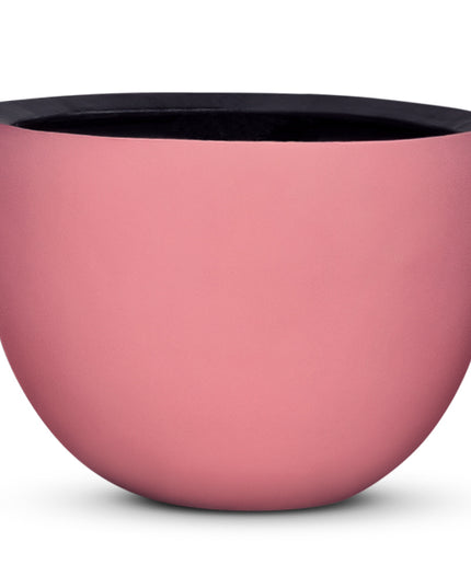 DOMANI AXEL | PINK
