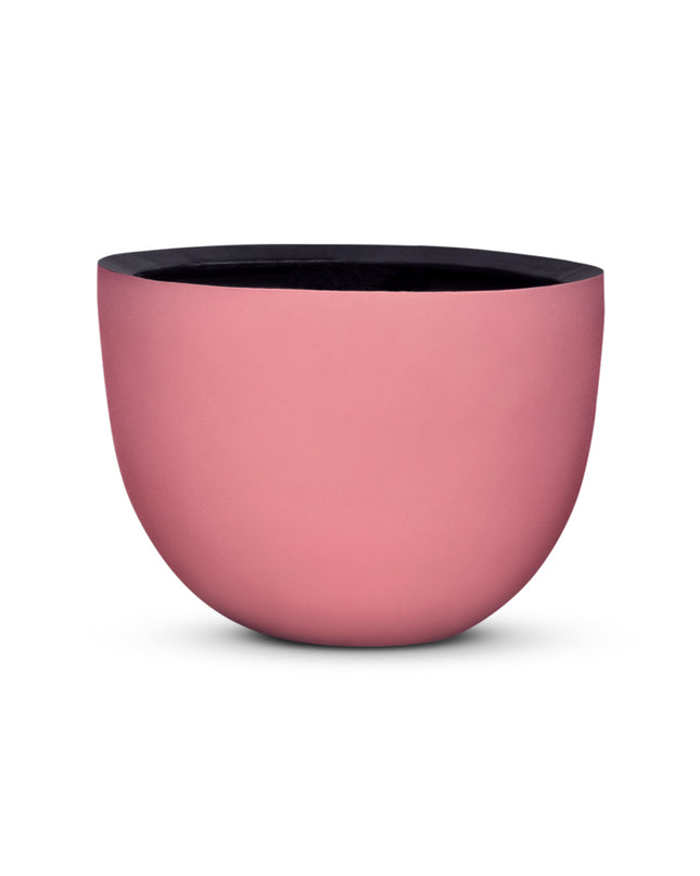 DOMANI AXEL | PINK