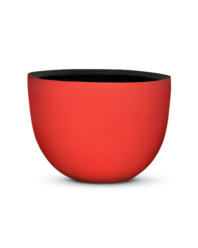 DOMANI AXEL | RED