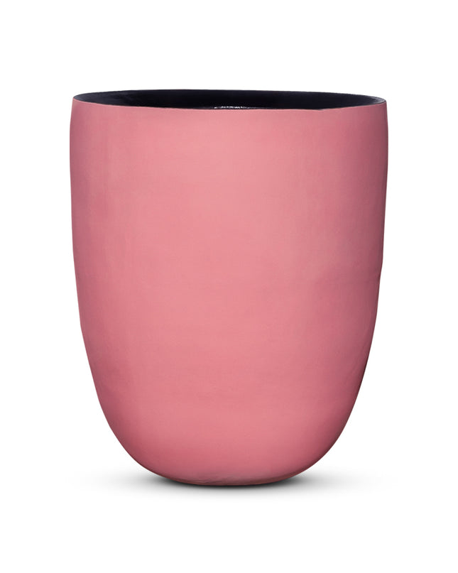 DOMANI AXEL | PINK