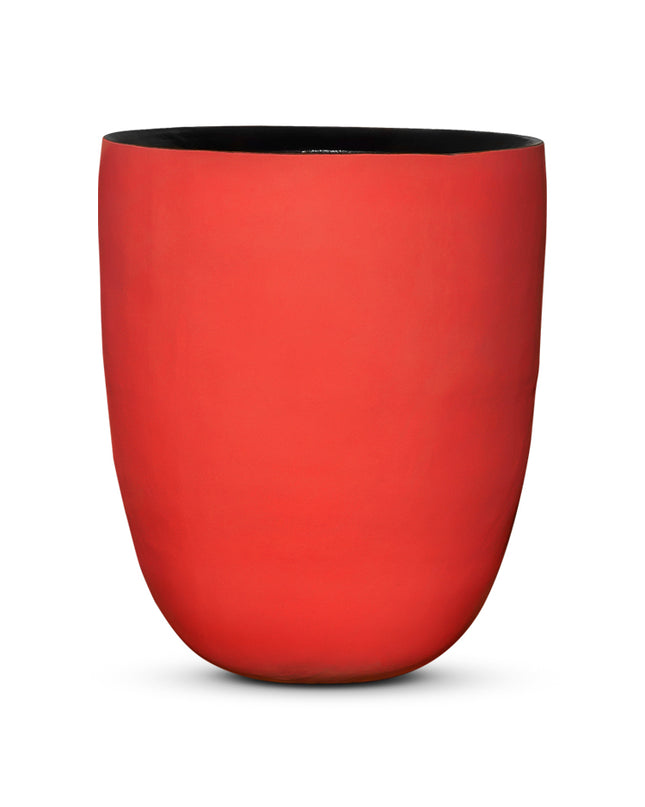 DOMANI AXEL | RED