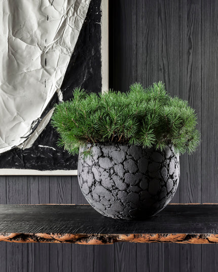 DOMANI LAVA | NATURAL GREY