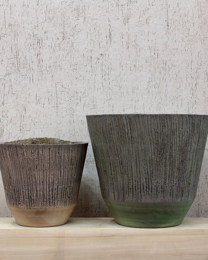 DOMANI ALBI | GREEN