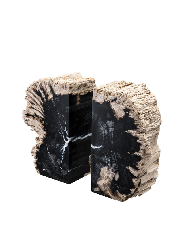 EICHHOLTZ | BOOKEND OPIA SET OF 2