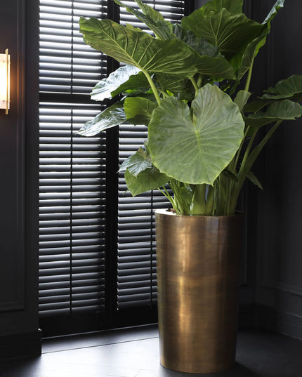 EICHHOLTZ | PLANTER MADDOX