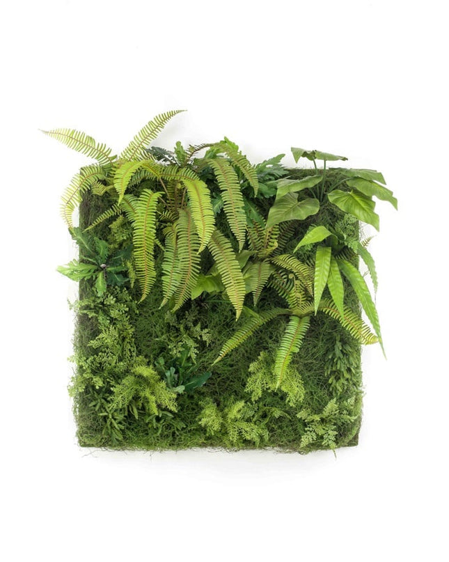 LIVING WALL 100CM x 100CM