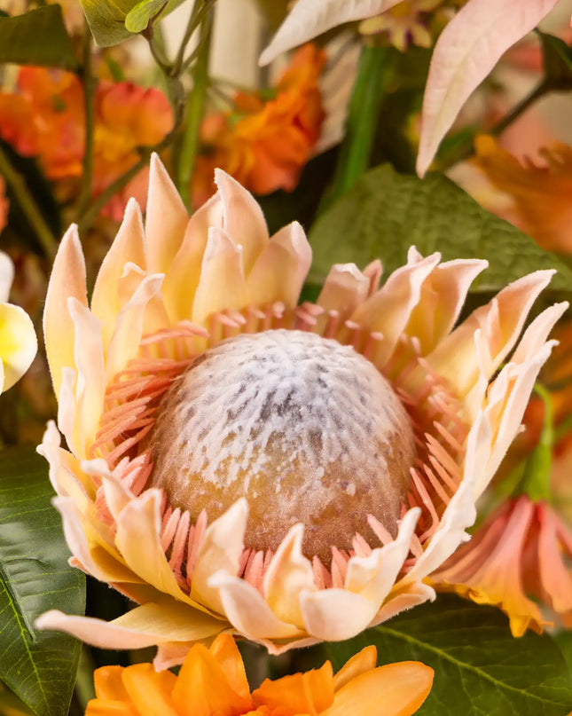 SILK-KA | PROTEA STEEL ZALM 70 cm
