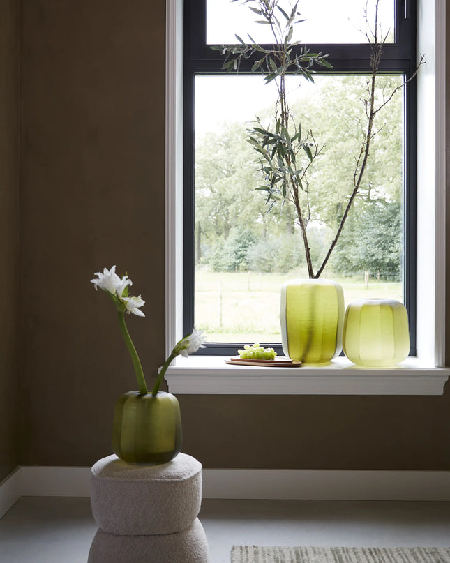 VAAS PACENGO L - GEEL/OLIJFGROEN