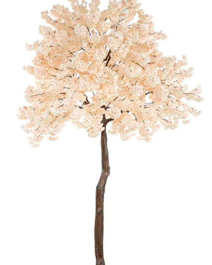 FIONORA | BLOESEMBOOM PERZIK 320 CM