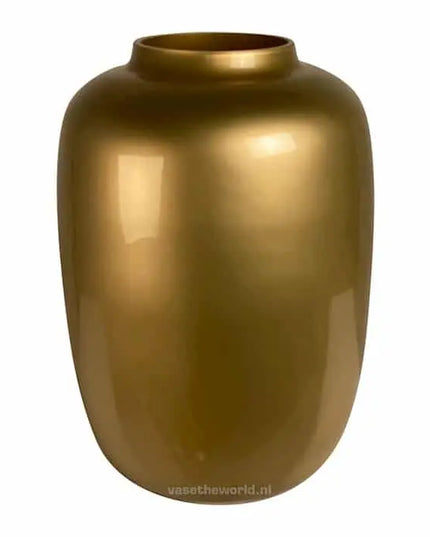 VAAS ARTIC M - GOLD